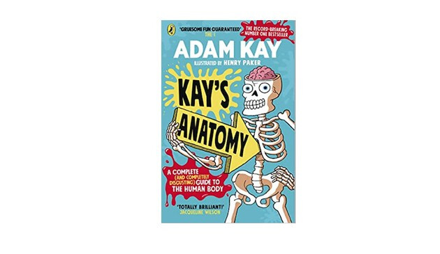 Kay's Anatomy