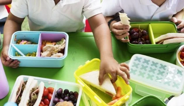 Kids lunch boxes