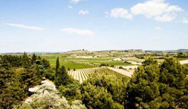 Languedoc