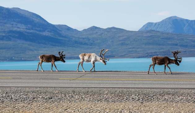 lapland finland