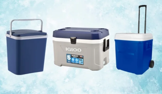 Selection of the best cool boxes