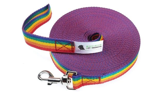 Maximum Pet Products dog lead