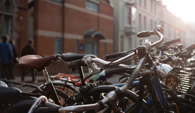 a rack of bikes on a misty morning