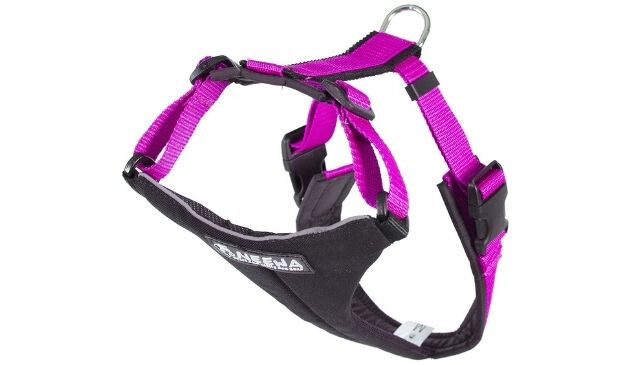 Neewa dog harness