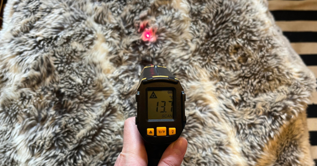 Journalist Poppy O'Neill hand testing the Dreamland Alaskan Husky heated throw with an infrared thermometer gun