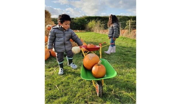 children in UNIQLO jackets at a pumpkin patch
