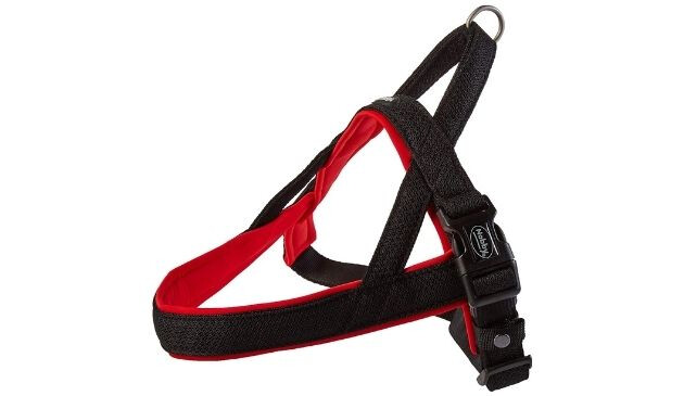 Nobby dog harness