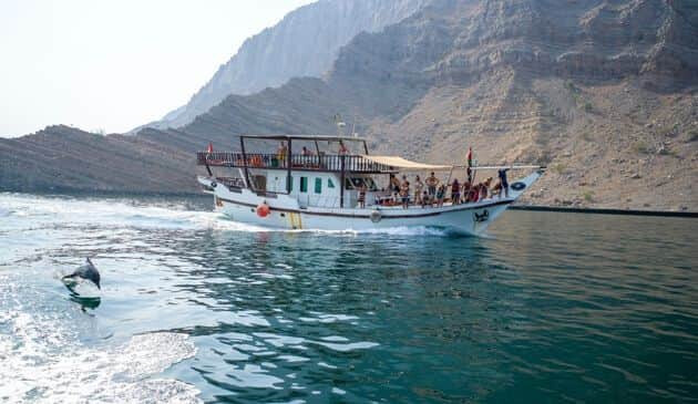 Dhow boat on the water with a dolphin diving over the water and rugged mountains in the backdrop