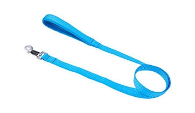 Pets at Home dog lead