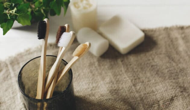 Plastic-free toothbrush