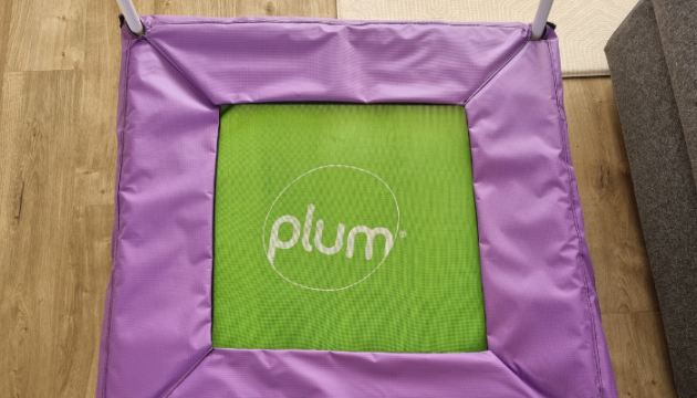 Plum Junior Bouncer in living room