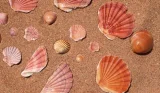 Best beaches in Portugal