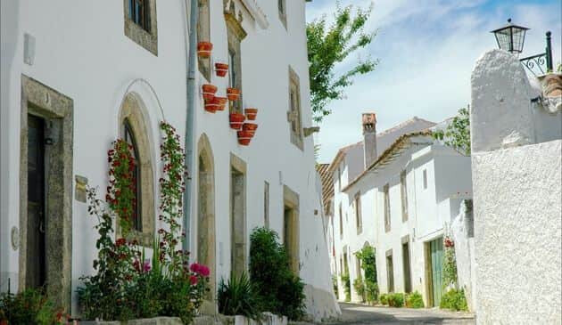 A community of white stone houses in a narrow cobblestone street with plants and planters around the buildings.