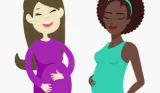 Pregnancy calendar