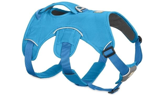 Ruffwear dog harness