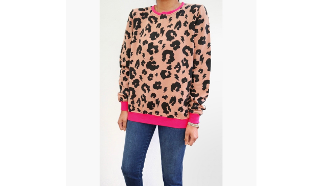 Scamp & Dude sweatshirt