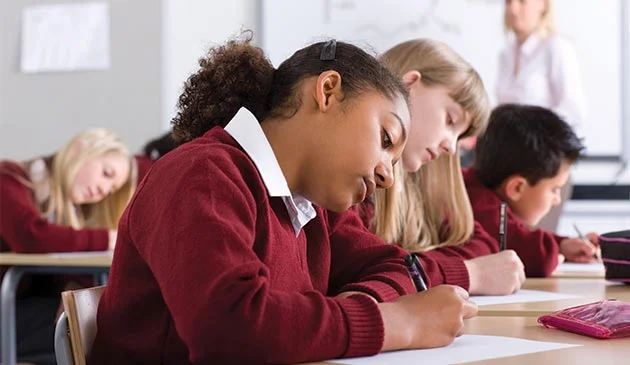 Secondary school students