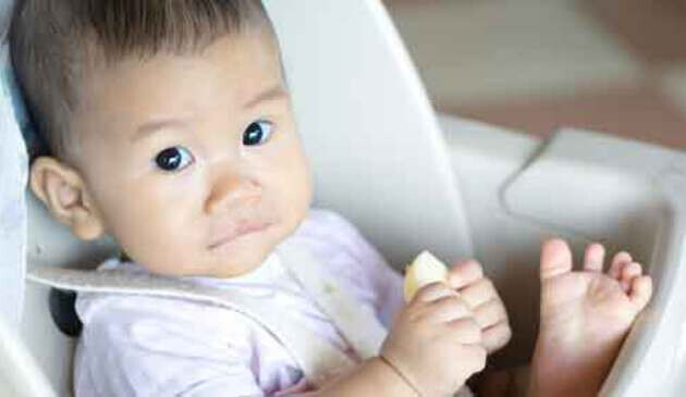 Baby sitting in high chair holding food