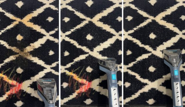 Shark StainStriker Stain & Spot Cleaner cleaner