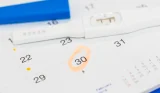 Pregnancy due date calculator
