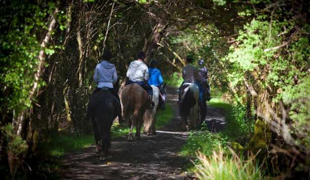 Slieve Aughty Centre