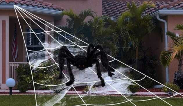 Spider decoration