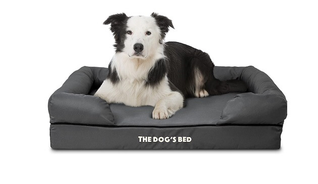 The Dog's Bed Waterproof Dog Bed