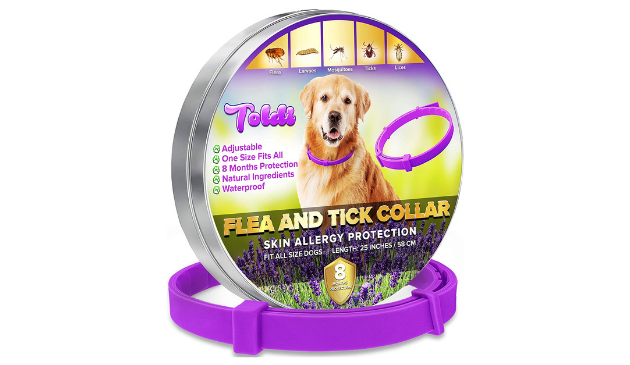 Toldi collar