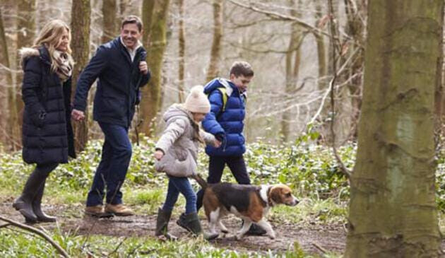 Family on a walk with dog in forest