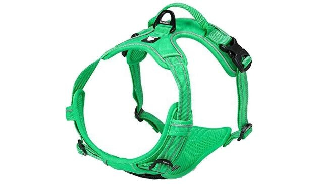 Truelove dog harness