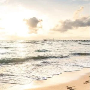 TUI Blue Alcudia Pins Playa Mallorca beach