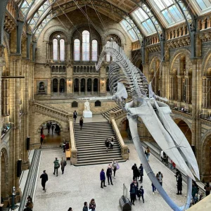 Natural History Museum foyer London