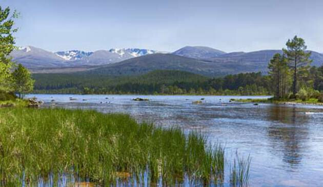 Aviemore scenery
