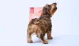 Scrumbles Poop-Perfecting Pet Food