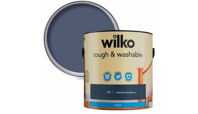 Wilko washable paint