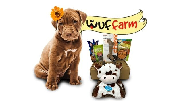 dog next to WufWuf subscription box