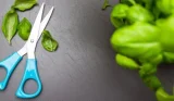Kitchen scissors