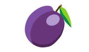 Plum baby size