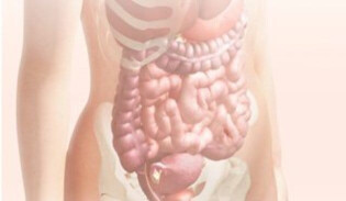 Pregnancy calendar week 11